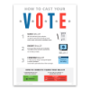 DS300 Voter Education (English)