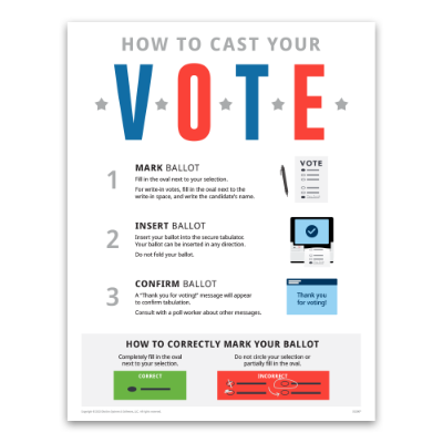 DS300 Voter Education (English) 