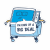 Decal 4 "I'm Kind of a Big Deal"