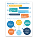ExpressVote XL: User Feedback Infographic - ESSXLUFI